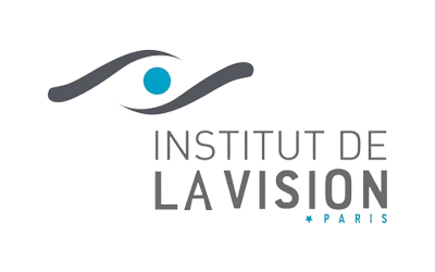 Institut de la vision